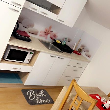 Apartments And Wellness Scavnicar Ljutomer Extérieur photo
