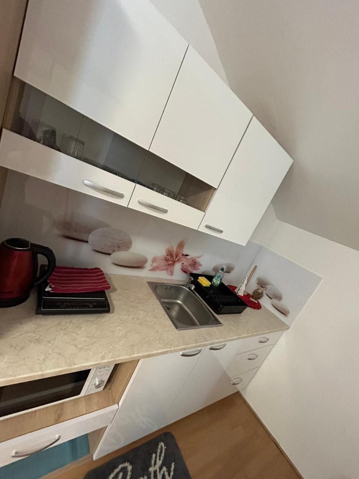 Apartments And Wellness Scavnicar Ljutomer Extérieur photo
