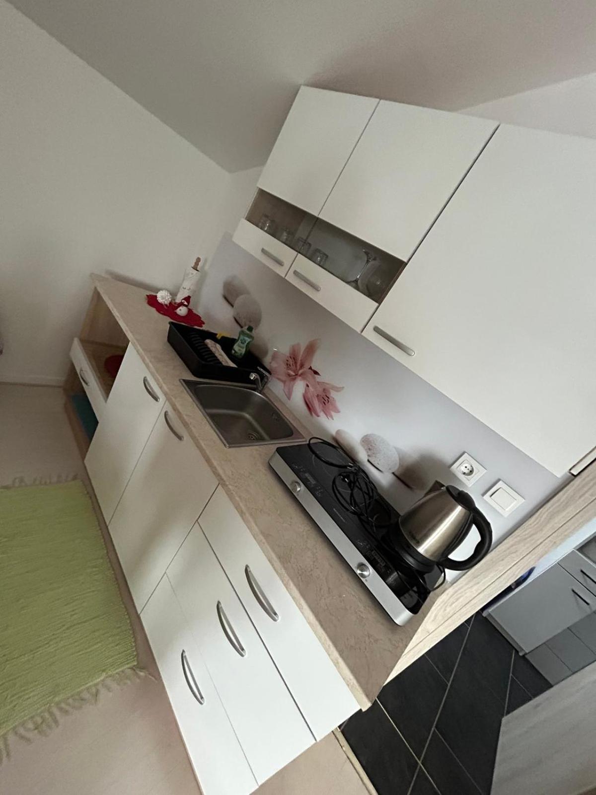 Apartments And Wellness Scavnicar Ljutomer Extérieur photo